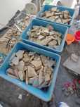 Oddam za darmo GRUZ ze zbitych kafli ceramicznych  20 skrzynek
