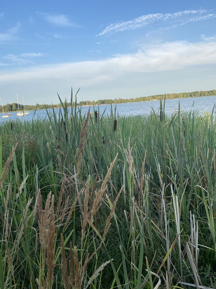 Domek letniskowy nad jeziorem Firlej