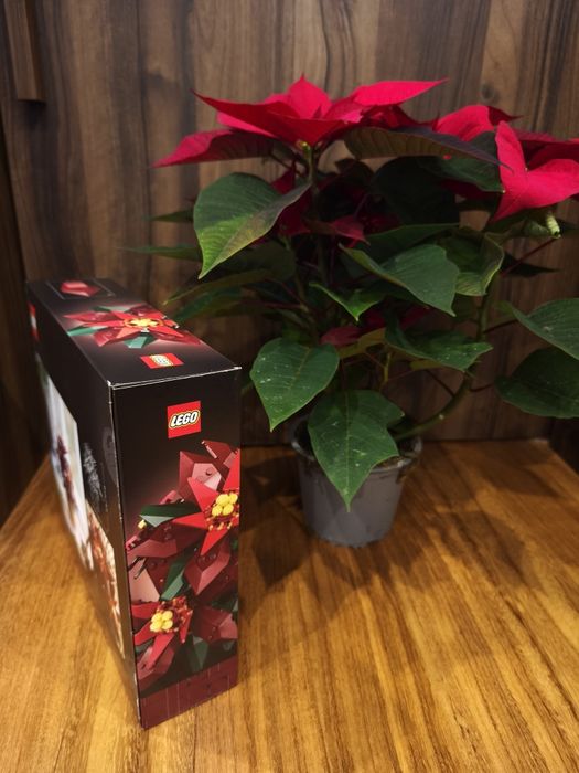 Lego Botanicals 10370 Poisenttia