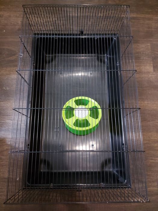 Klatka 80cm chomik, mysz, myszoskoczek