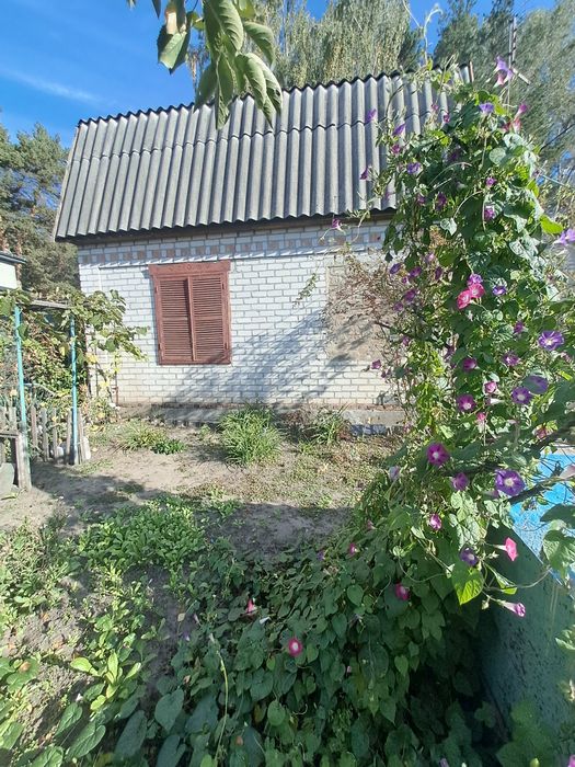 Дача в межах міста