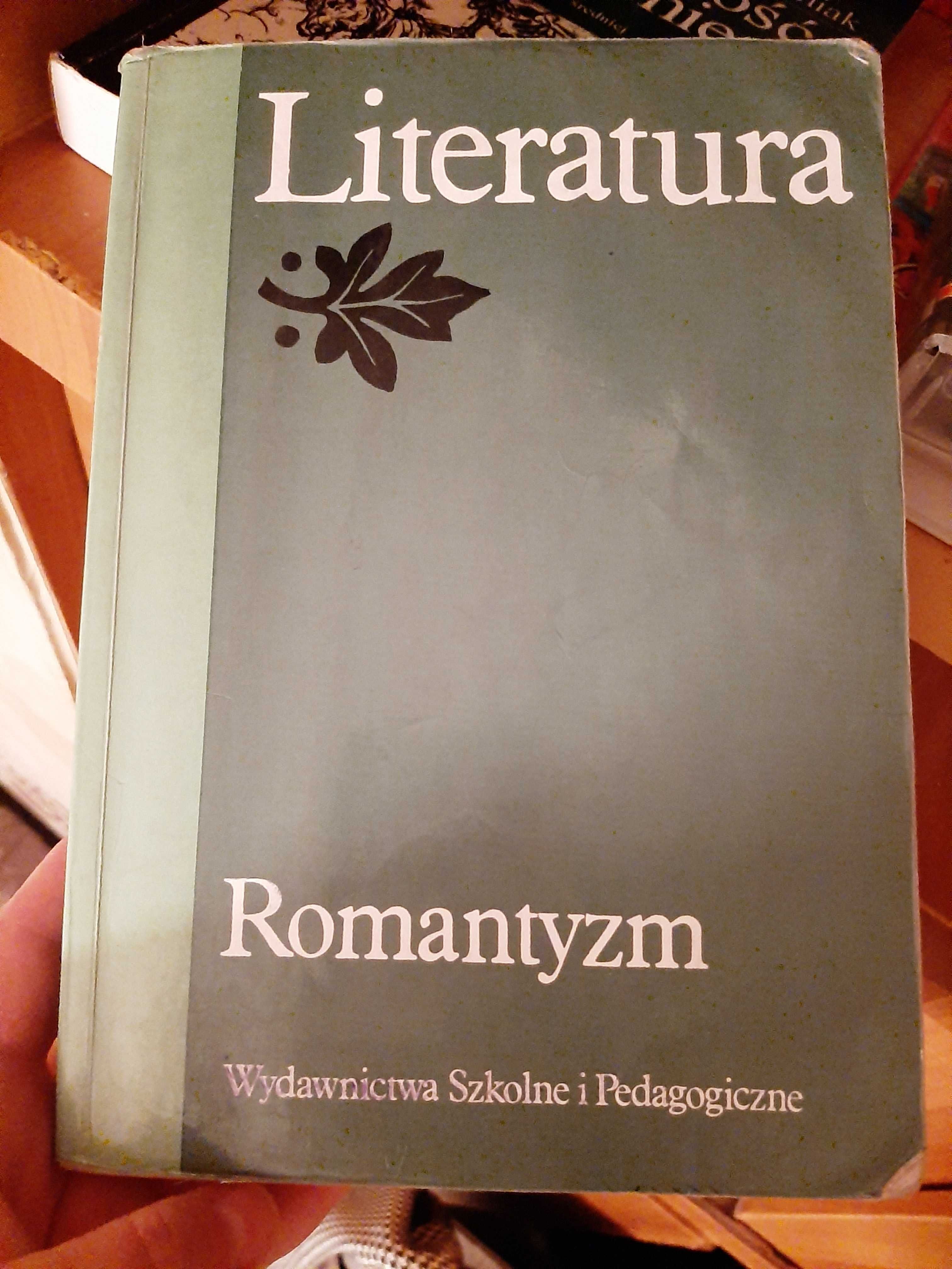 Literatura romantyzm- S. Makowski