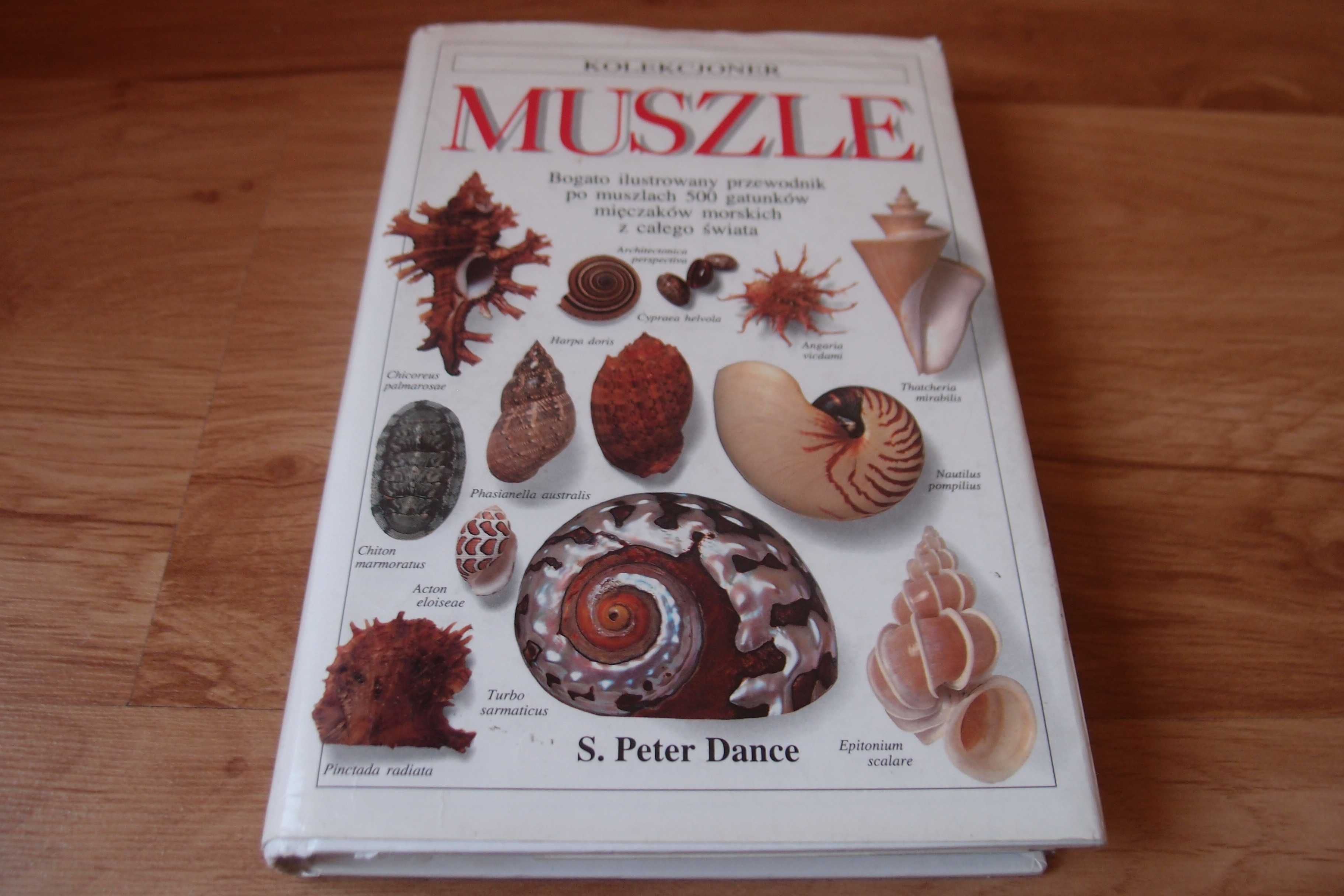 Muszle S.Peter Dance - seria kolekcjoner