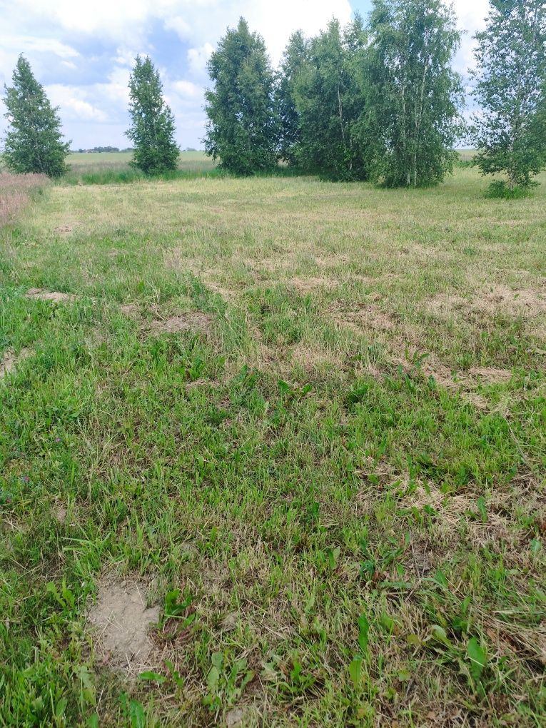 DZIAŁKI ROLNO-REKREACYJNE prąd na Działce Chłapowo