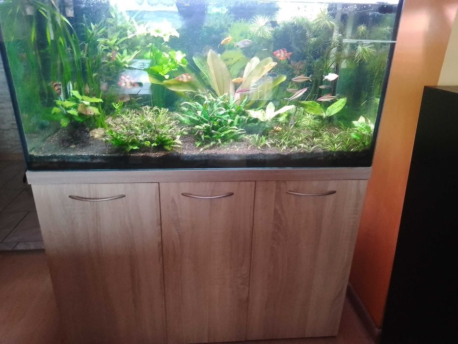 Sprzedam Zestaw Akwariowy