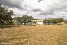 Herdade - Alvito