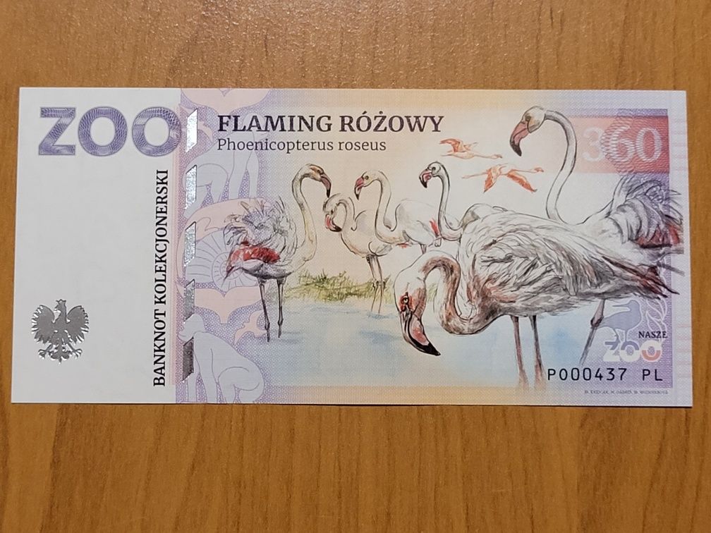 NOWOŚĆ Banknoty kolekcjonerskie Zoo Poznań ZOOLAR bony Matej Gabris