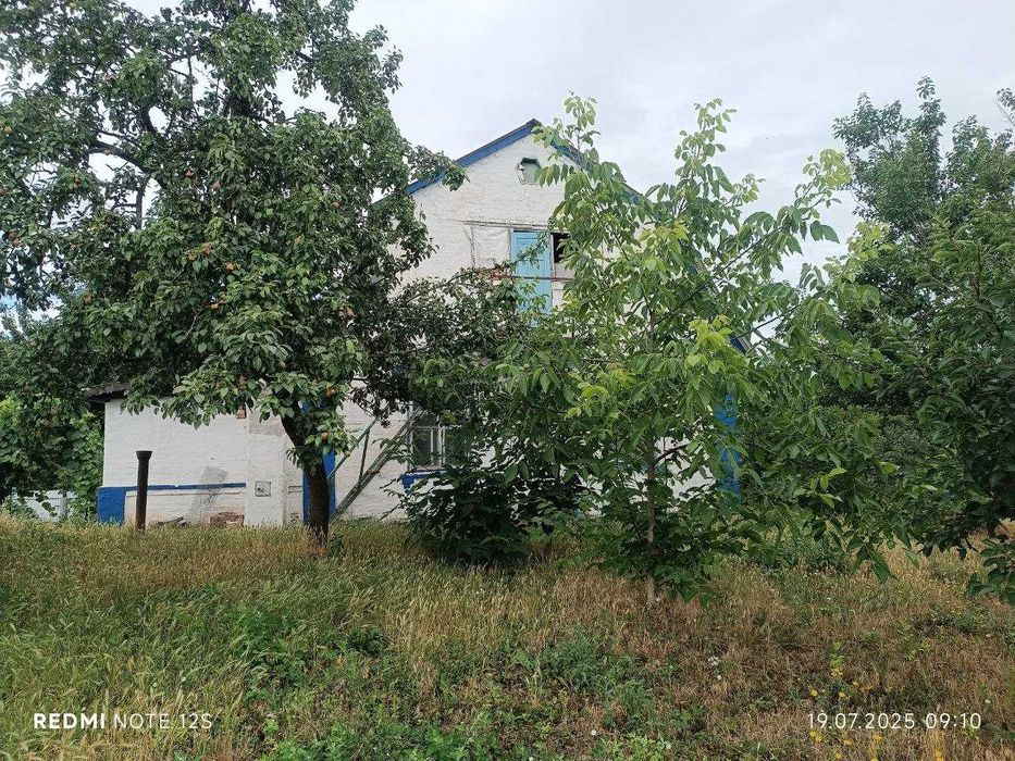 Продаж будинку в Тетіїві
