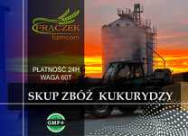 Skup Zboża Pszenicy Pszenżyta Jęczmienia Kukurydzy ODBIÓR KOSZENIE