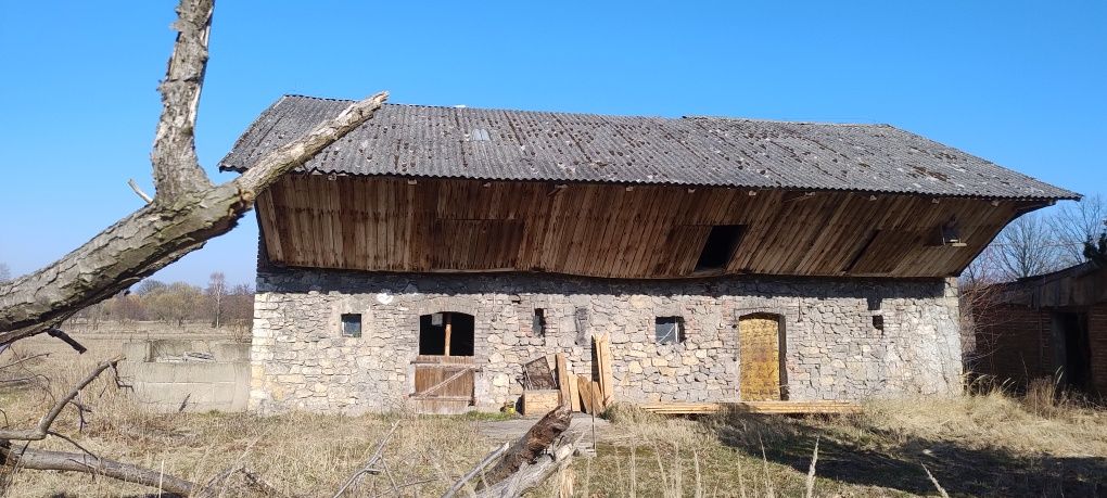 Działka z domem i budynkami gospodarczymi