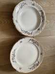 Porcelana starsza