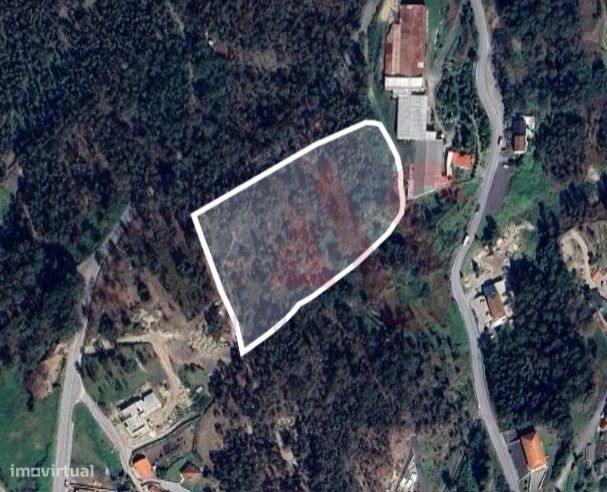 Terreno Rústico com 17.569 m2 em Sousela, Lousada