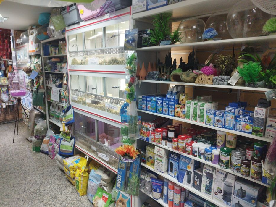 Loja de animais e consultório veterinário