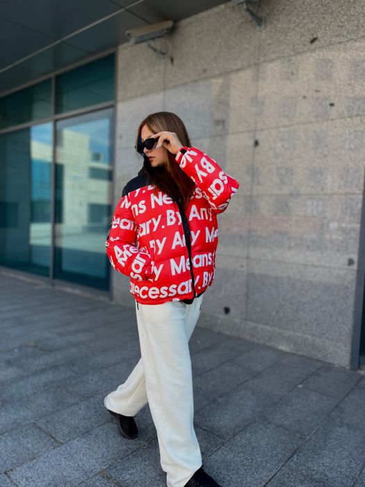 Зимовий пуховик The North Face унісекс