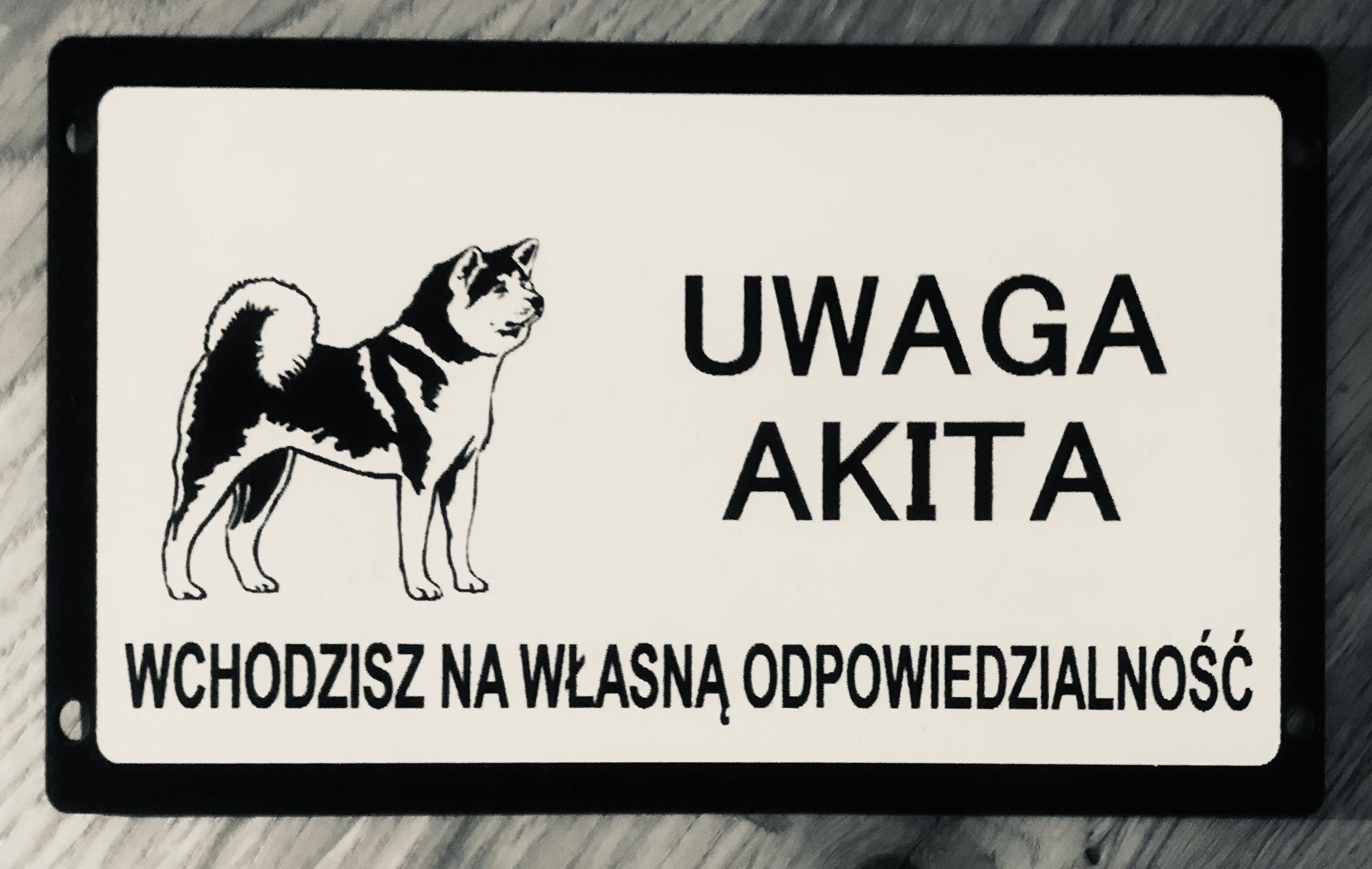 Tabliczki uwaga zły pies różne rasy