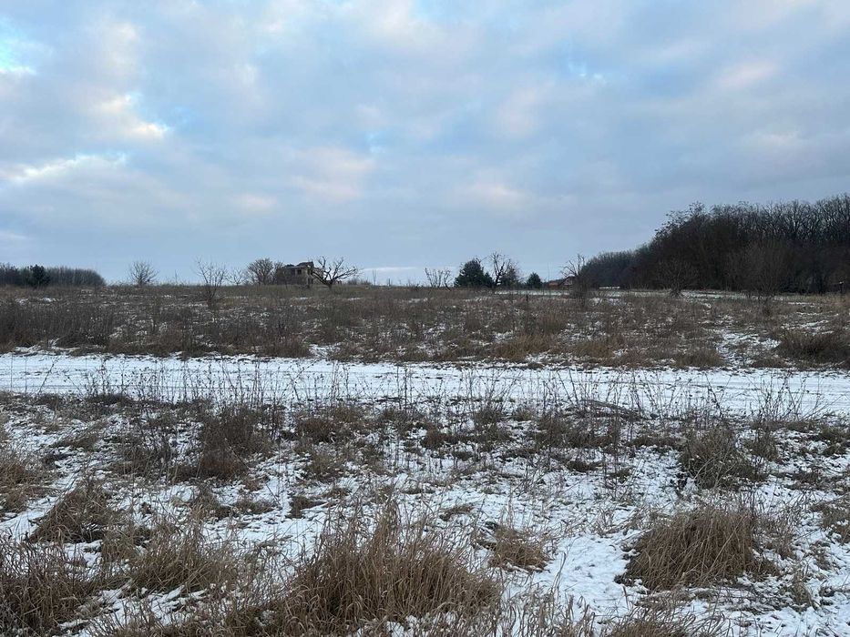 Продається земельна ділянка в Селищі
