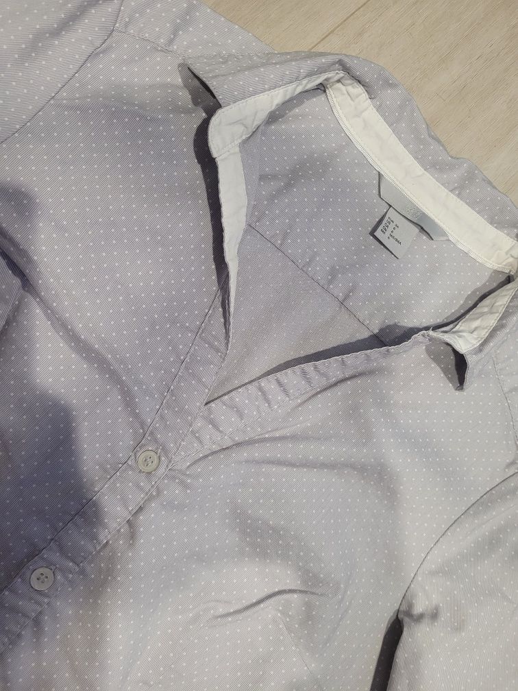 Koszula szara błękitna w białe kropki h&m s
