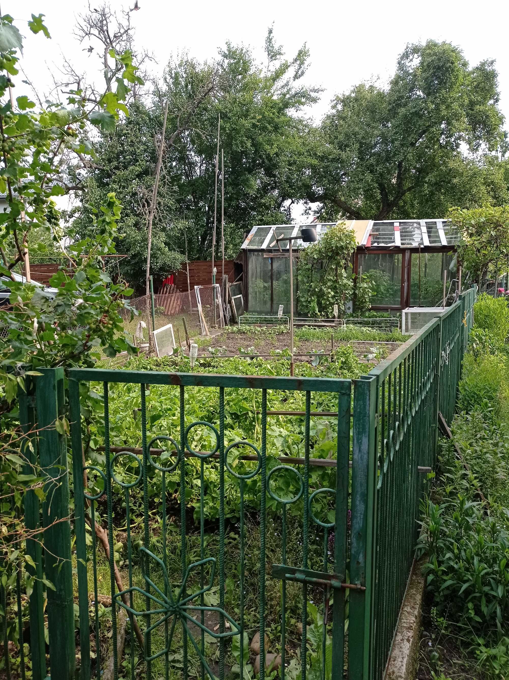 Zgorzelec – Mieszkanie 4 – pokojowe, bezczynszowe. BEZ POŚREDNIKÓW