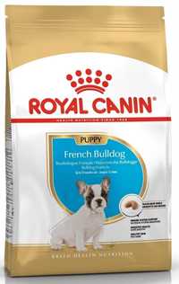 Royal 257510 French Bulldog Puppy 3kg