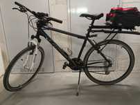 Rower Lazaro Integral V1