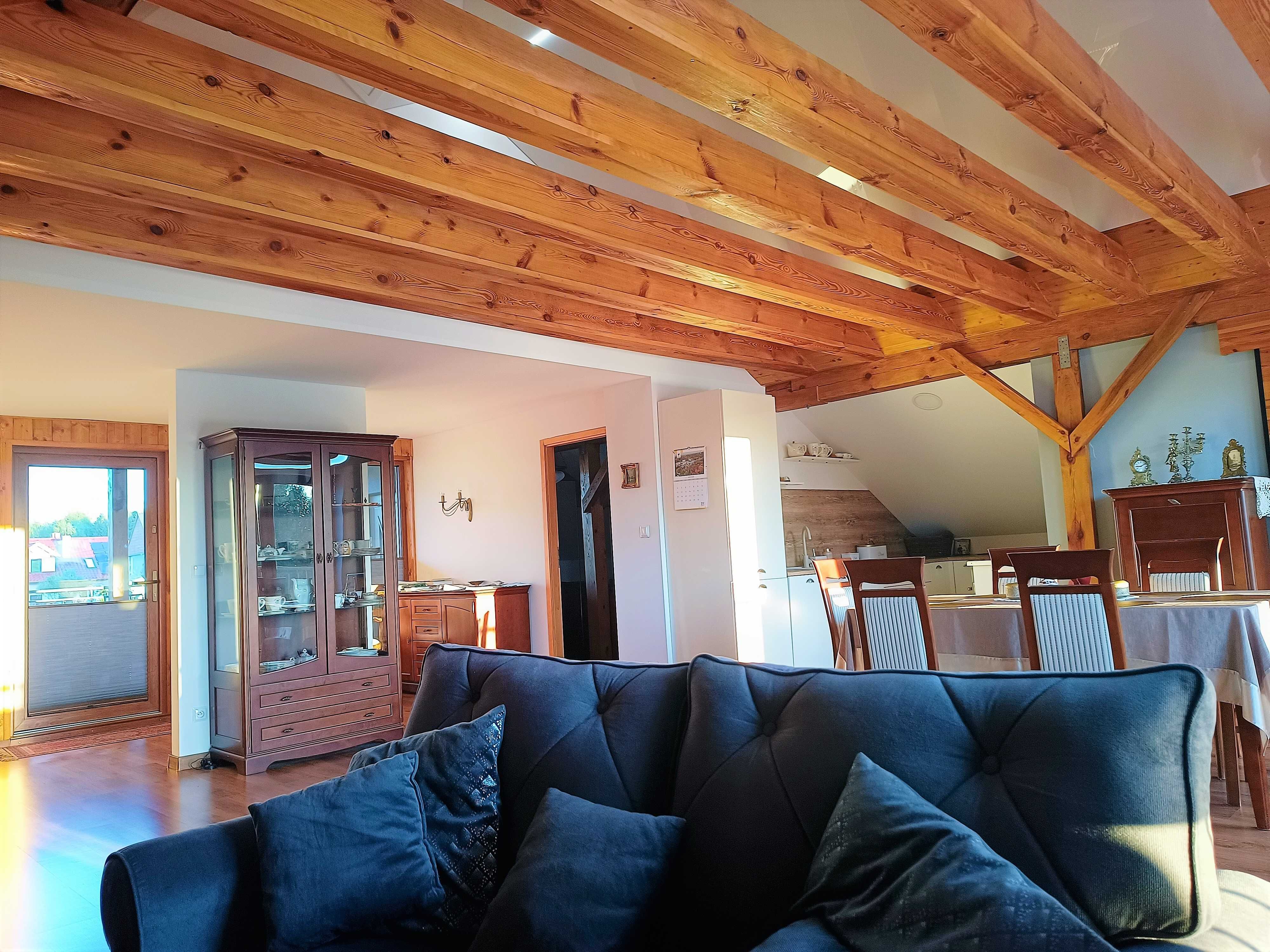 Ok.Kopalni Srebra/Rezerwatu Segiet - apartament z tarasem  1- 6 osób