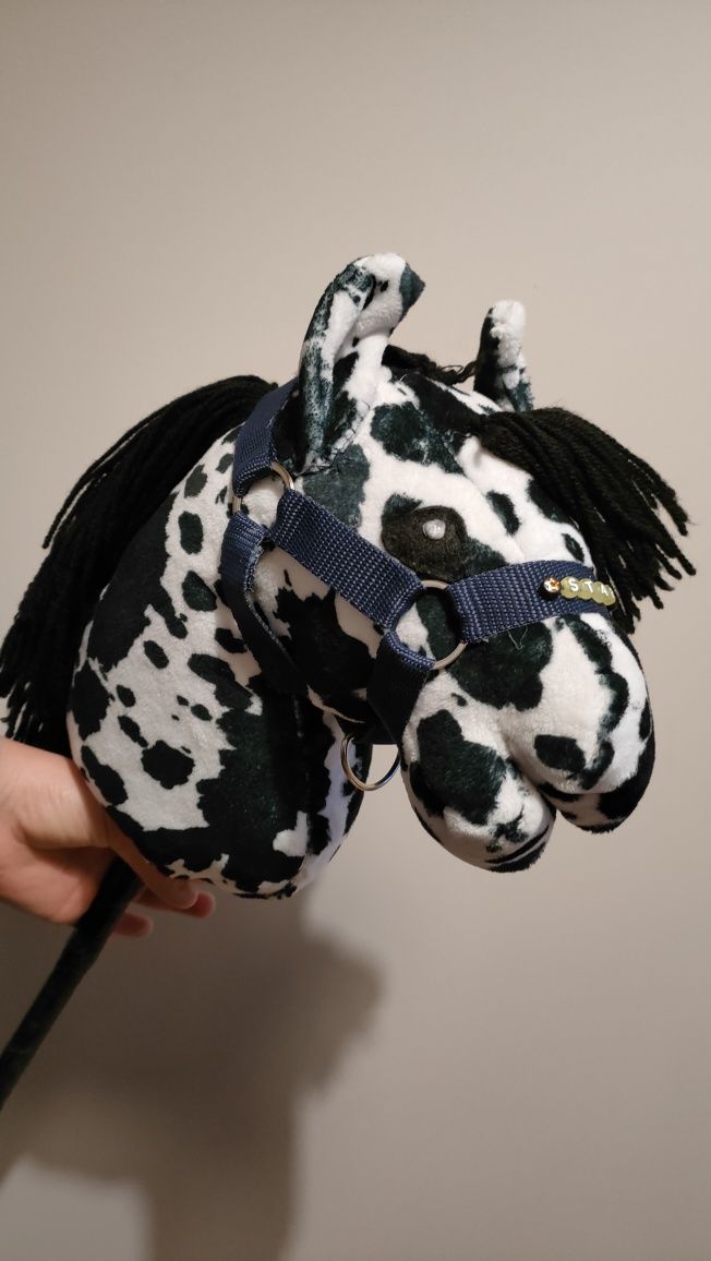 Konik hobby horse tarantowate A4