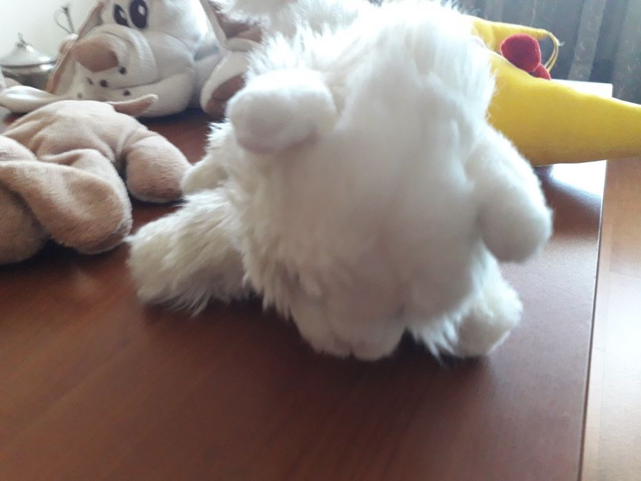 Vários peluches - cães, gato e lua