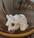 Hobby Horse Nowy