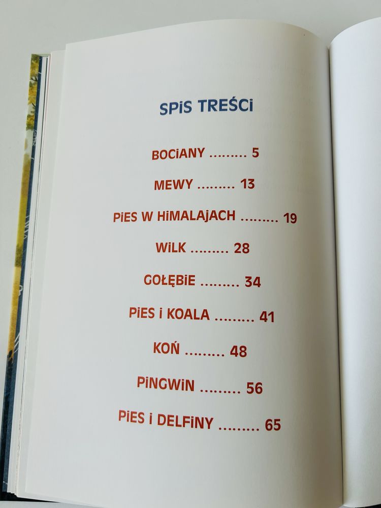 Biszkopt Pingwin i reszta Renata Piątkowska