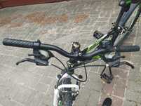 Rower MTB Team Rider 24