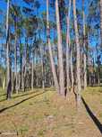 Terreno  para venda