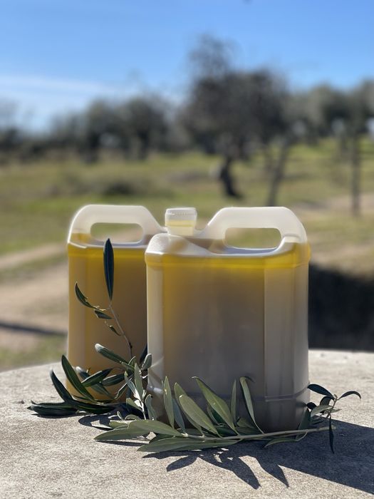 Azeite de olival tradicional 2025
