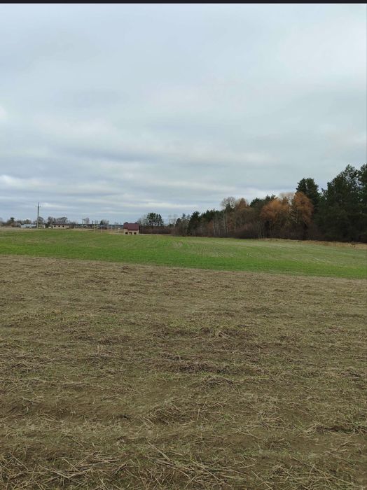 Земельна ділянка в с . Ремель(!)