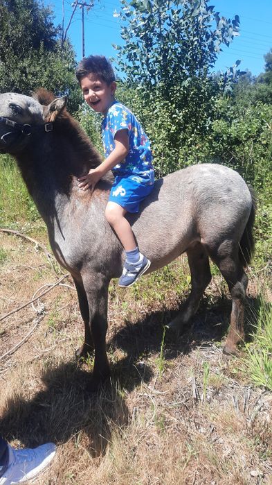 Ponei Apaluso a fazer um ano