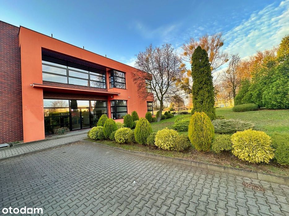 Nowoczesny biurowiec na WYNAJEM Wawrów - Gorzów Wielkopolski