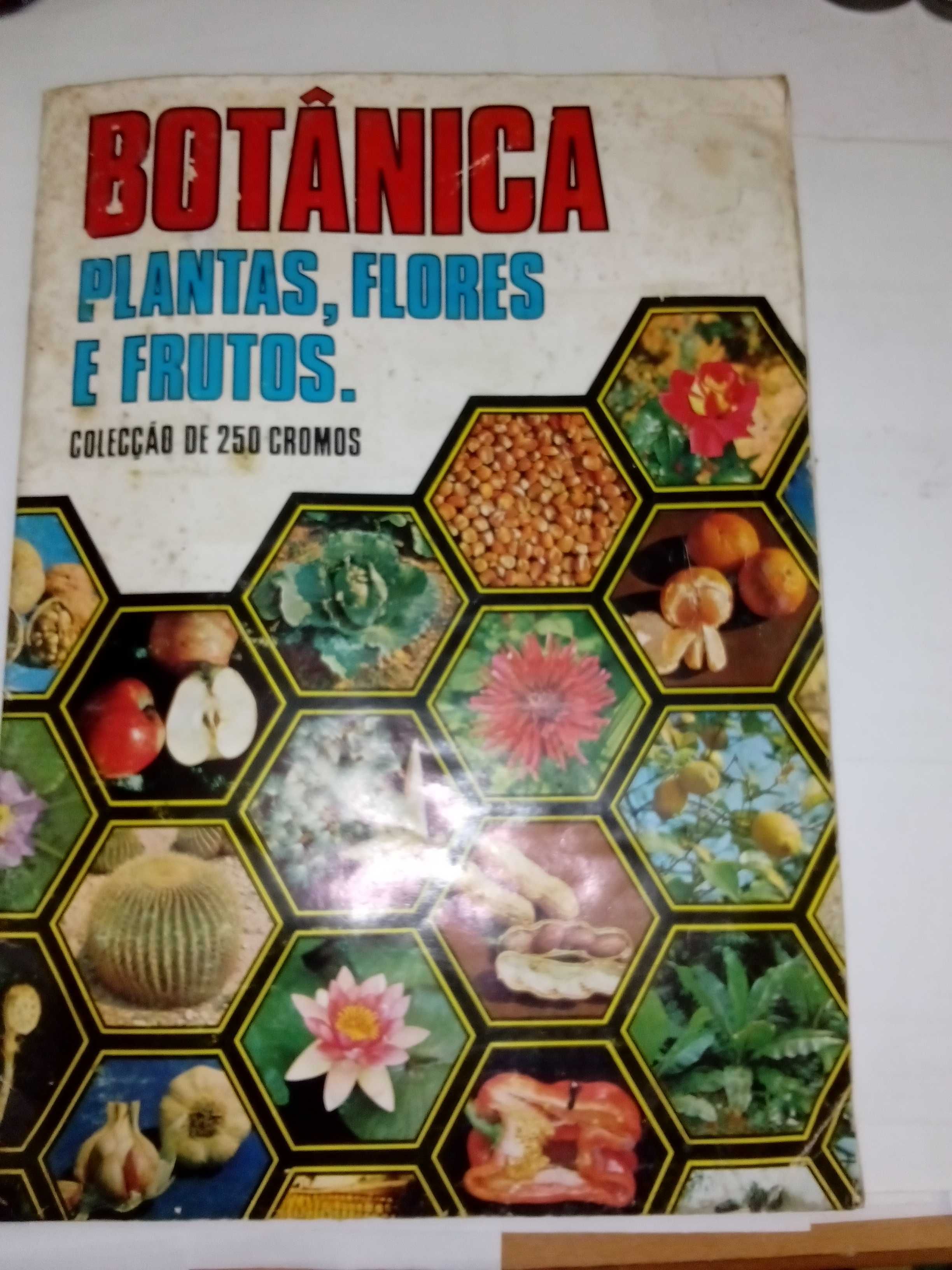 cadernetas botânica de 1977 e caderneta moedas do mundo
