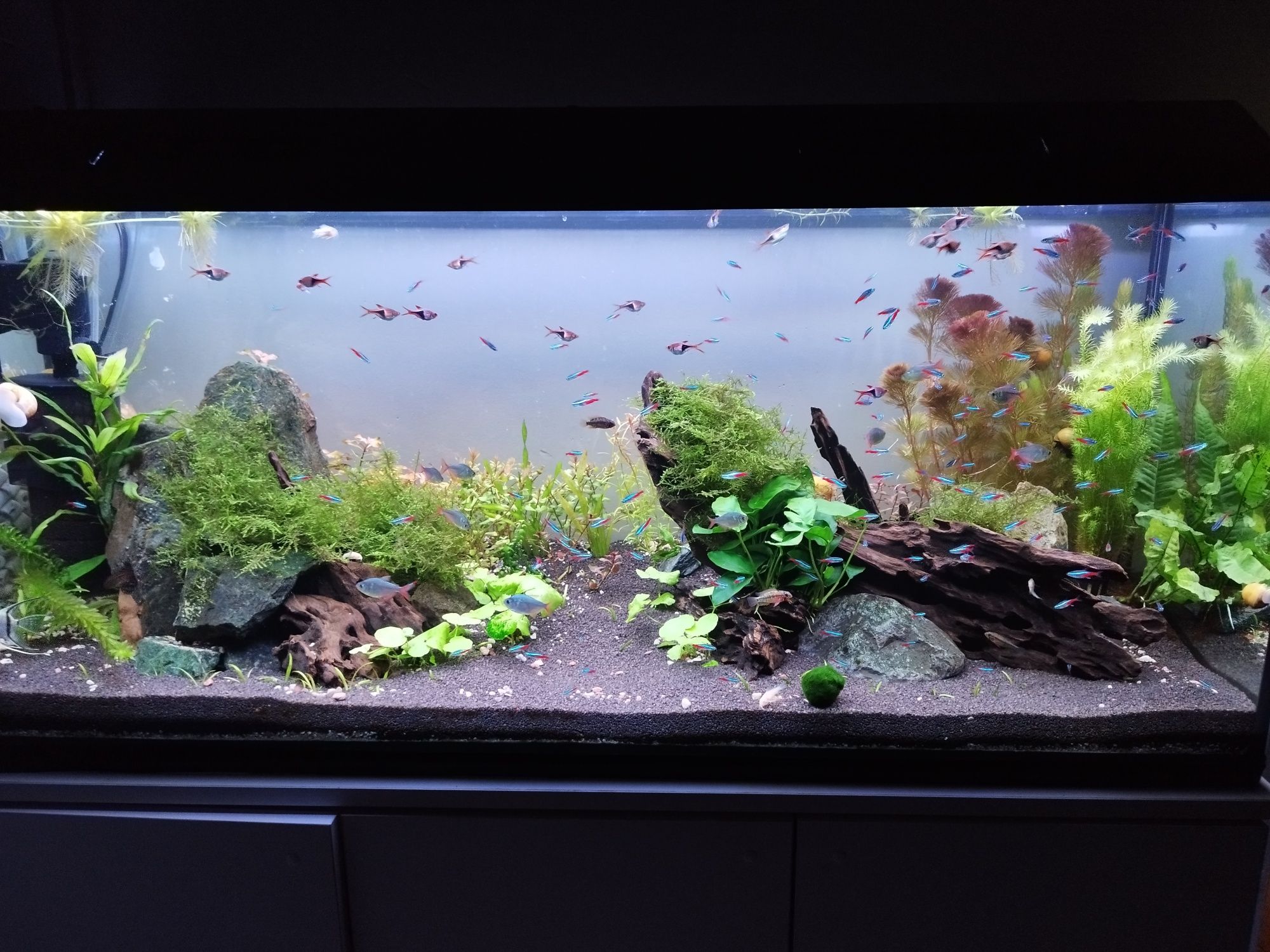 Pokrywa 120x40 z oświetleniem WRGB TC420 zasilacz wschód zachód
