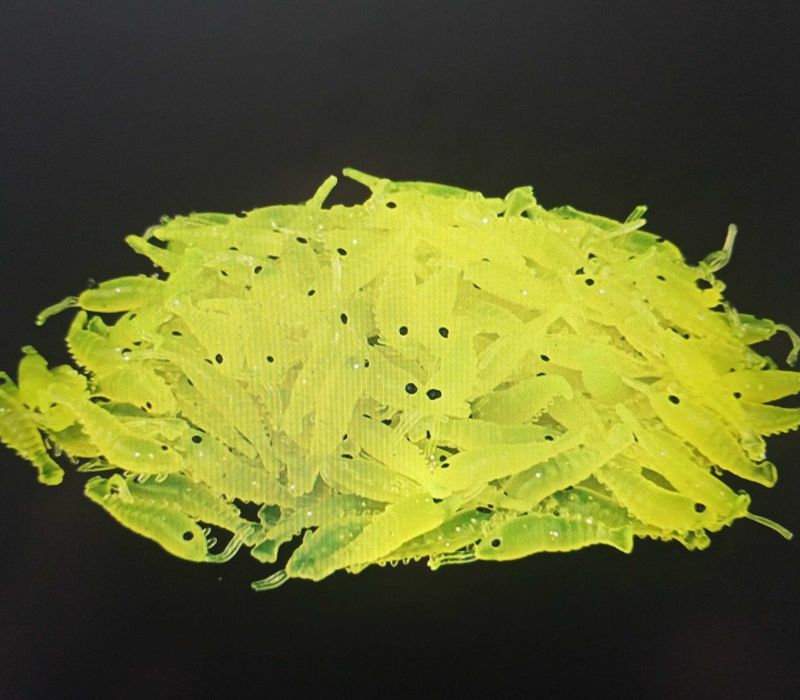 Krewetki i żuki sylikonowe