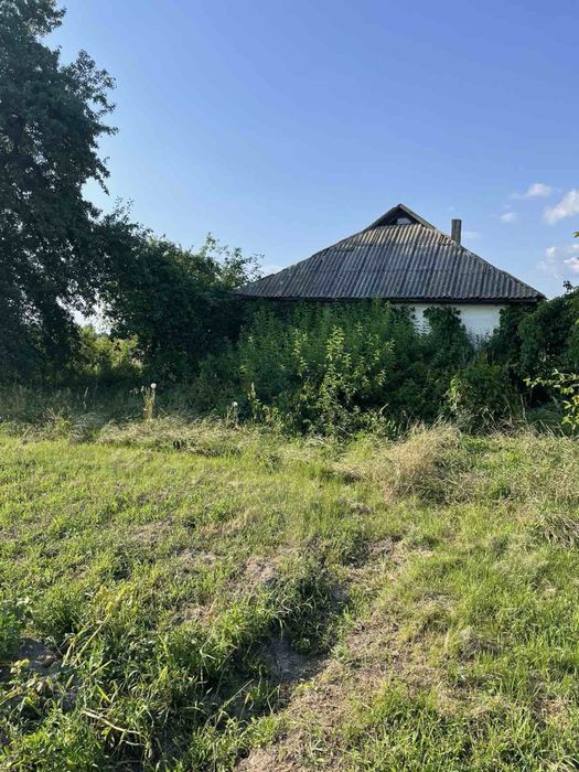 Земельна ділянка