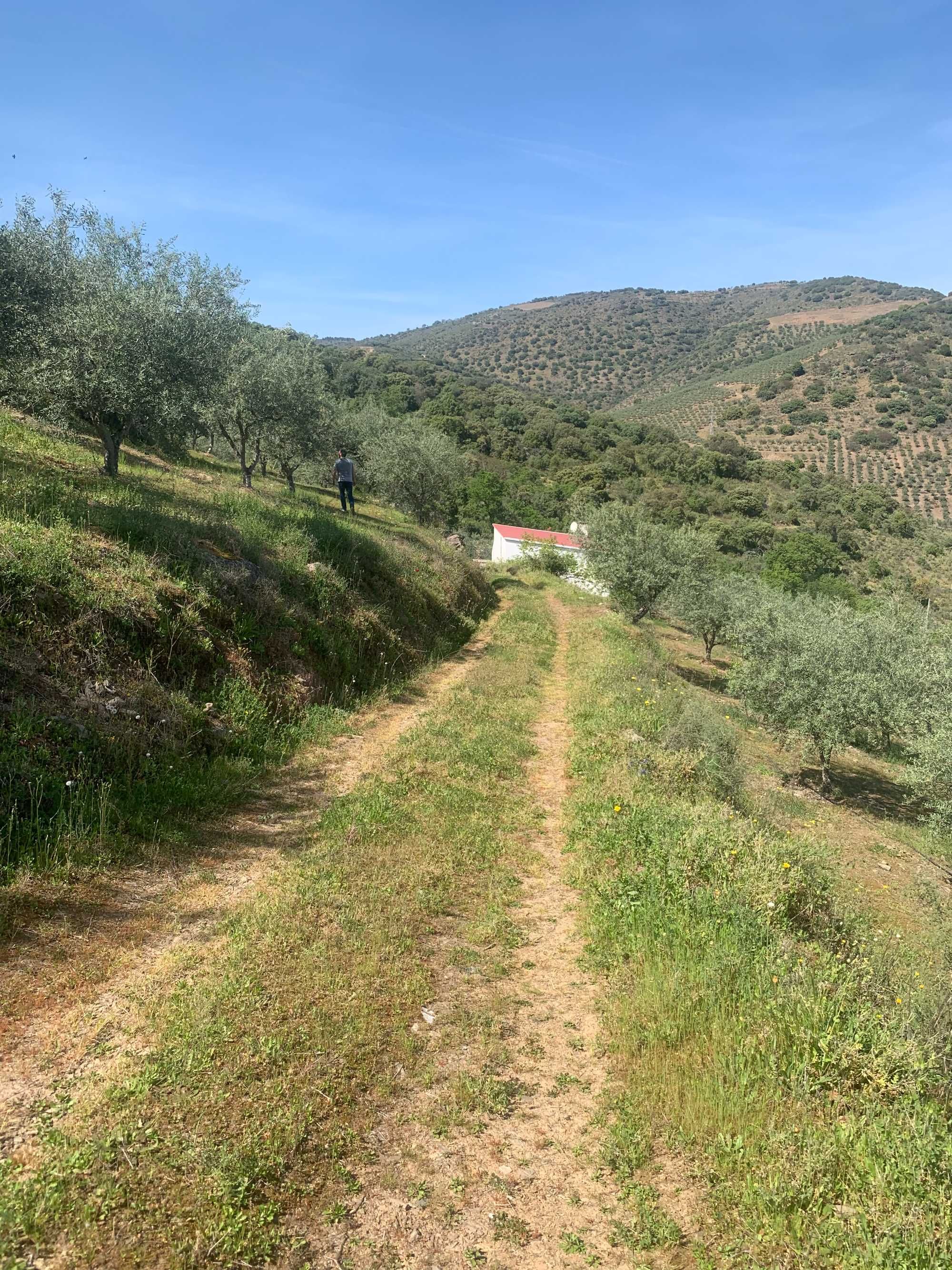 Terreno agrícola com 26.080 m2 na Congida