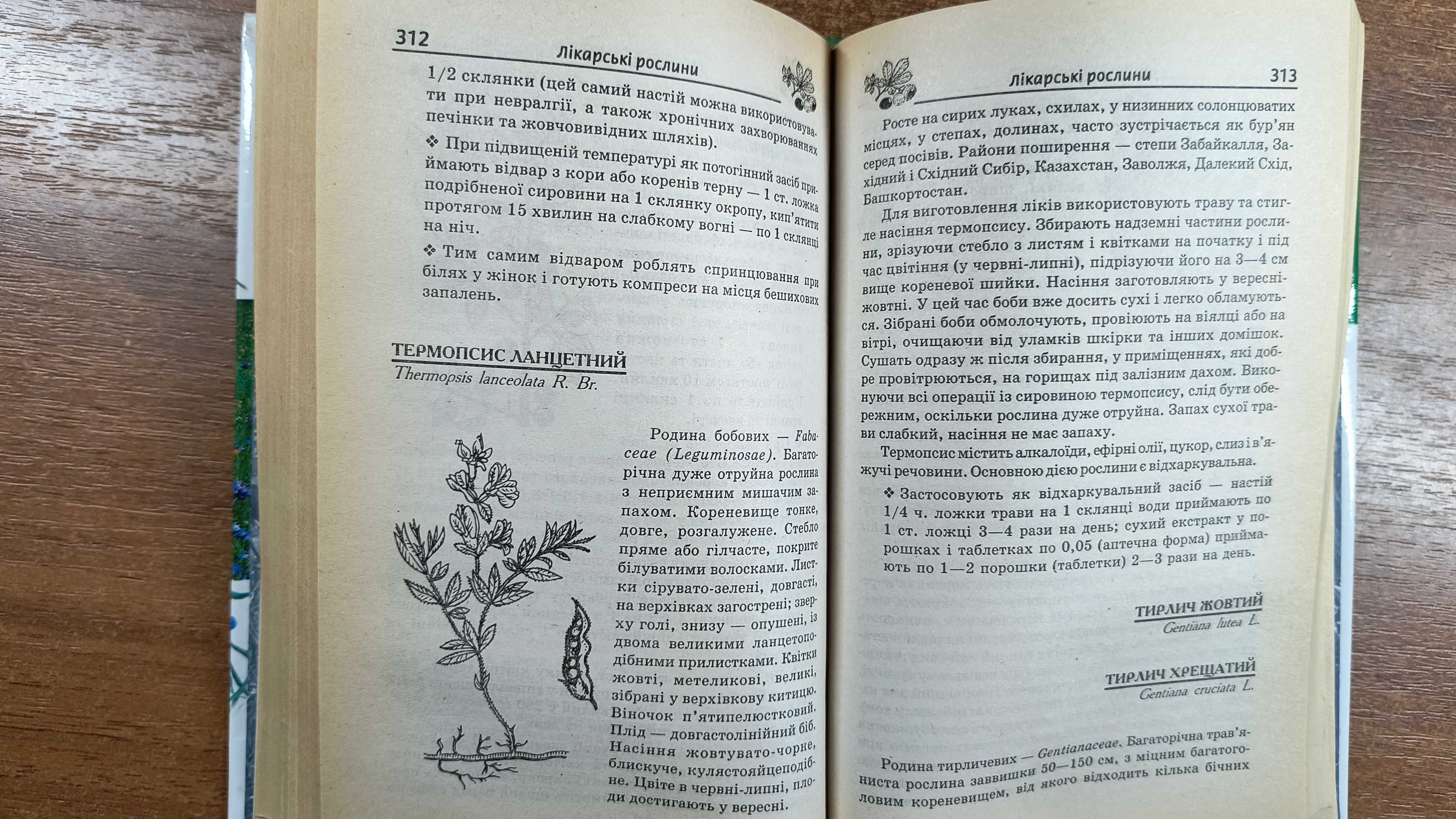 Сучасна енциклопедія лікарських рослин 5000 порад (Преображенський)