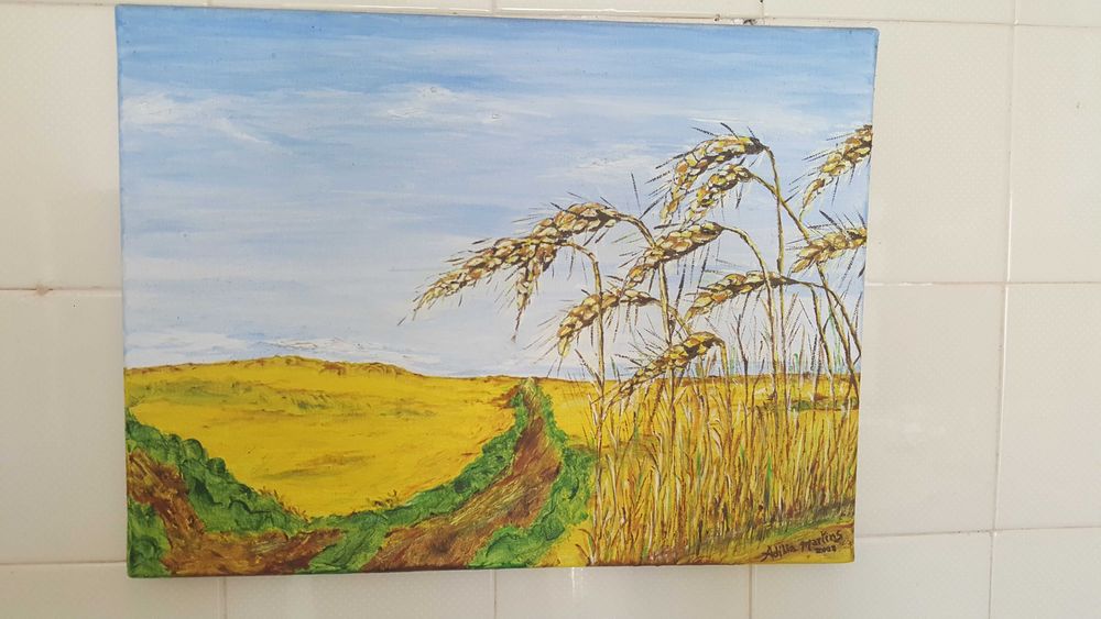 Quadros varios modernos alusivos cacem