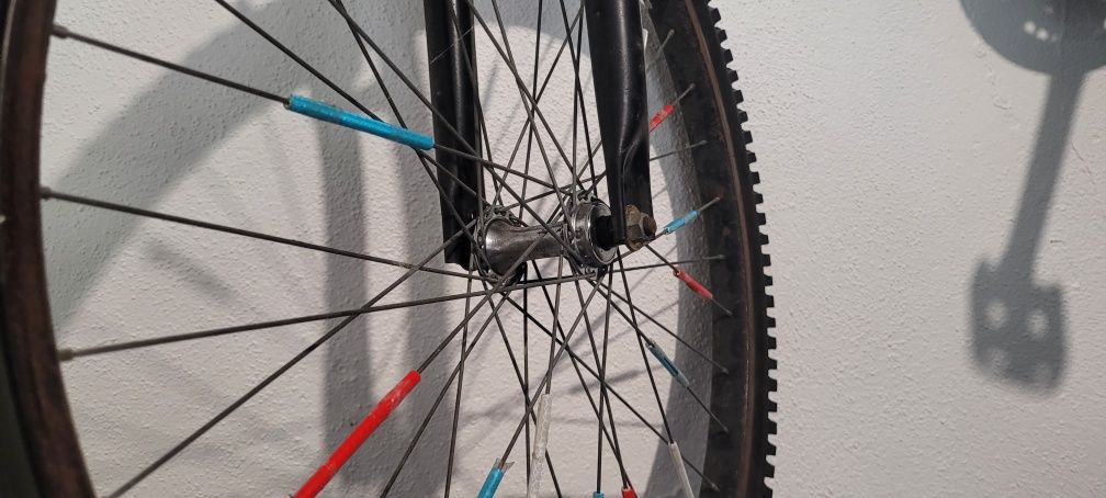 Bicicleta adulto