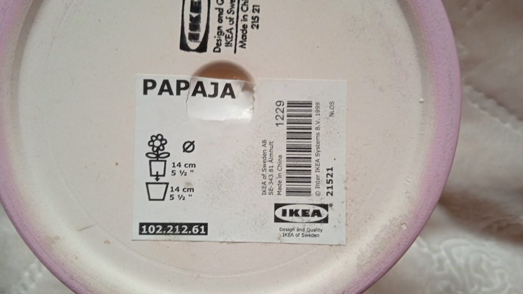 IKEA papaja 14 cm 5 + 1 gratis