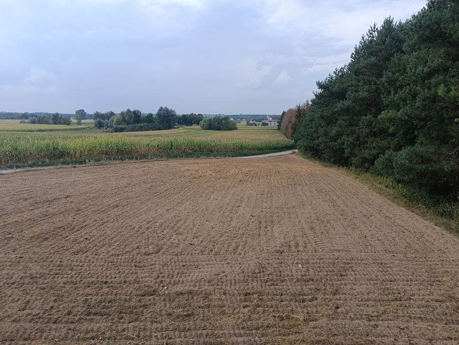 Działka rolno rekreacyjna w miejscowości Młyniec Drugi