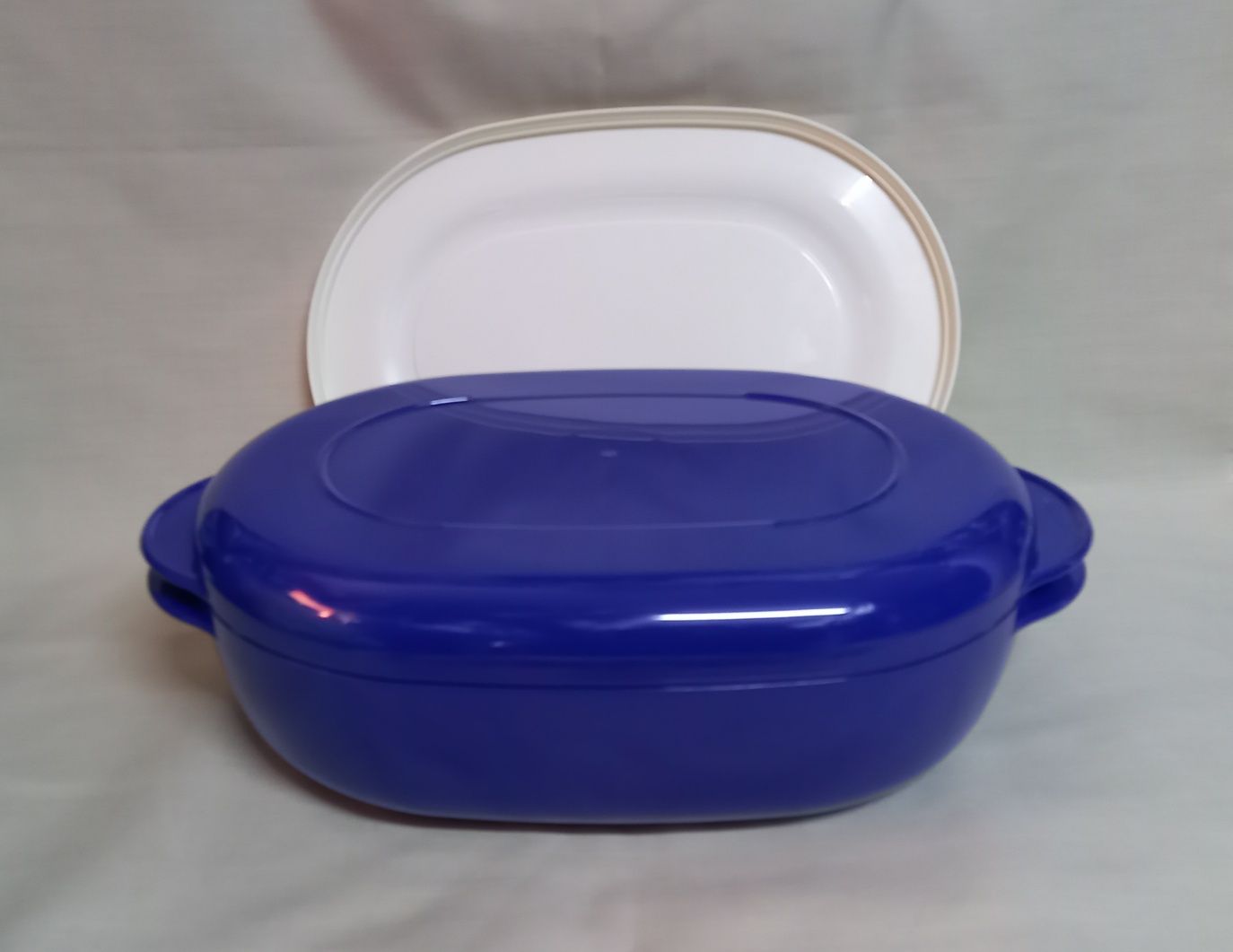 Microplus Tupperware