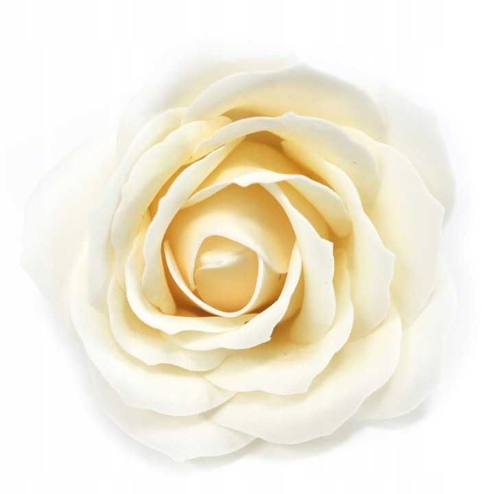 25x Duża Róża Mydlana w Kolorze Kremowym