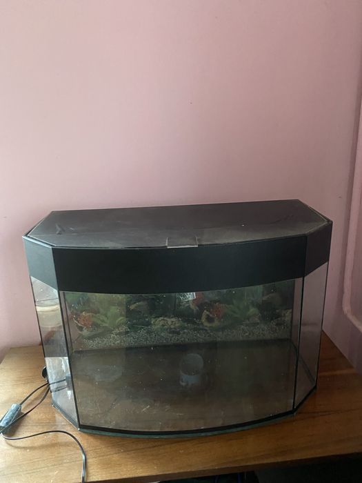 Аквариум 70л с комплектующими