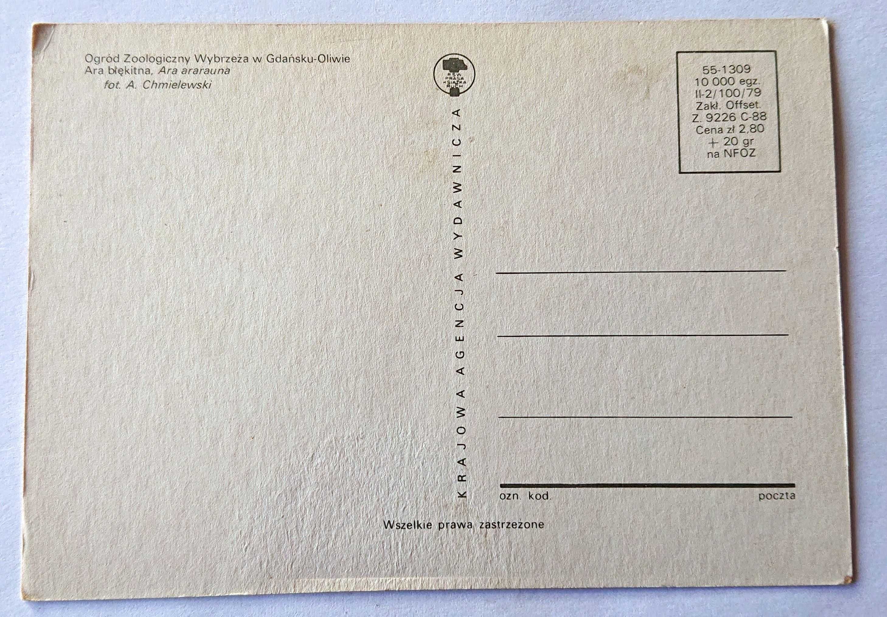 Kartka pocztowa - KAW - 1979 - Ara błękitna - ZOO Gdańsk
