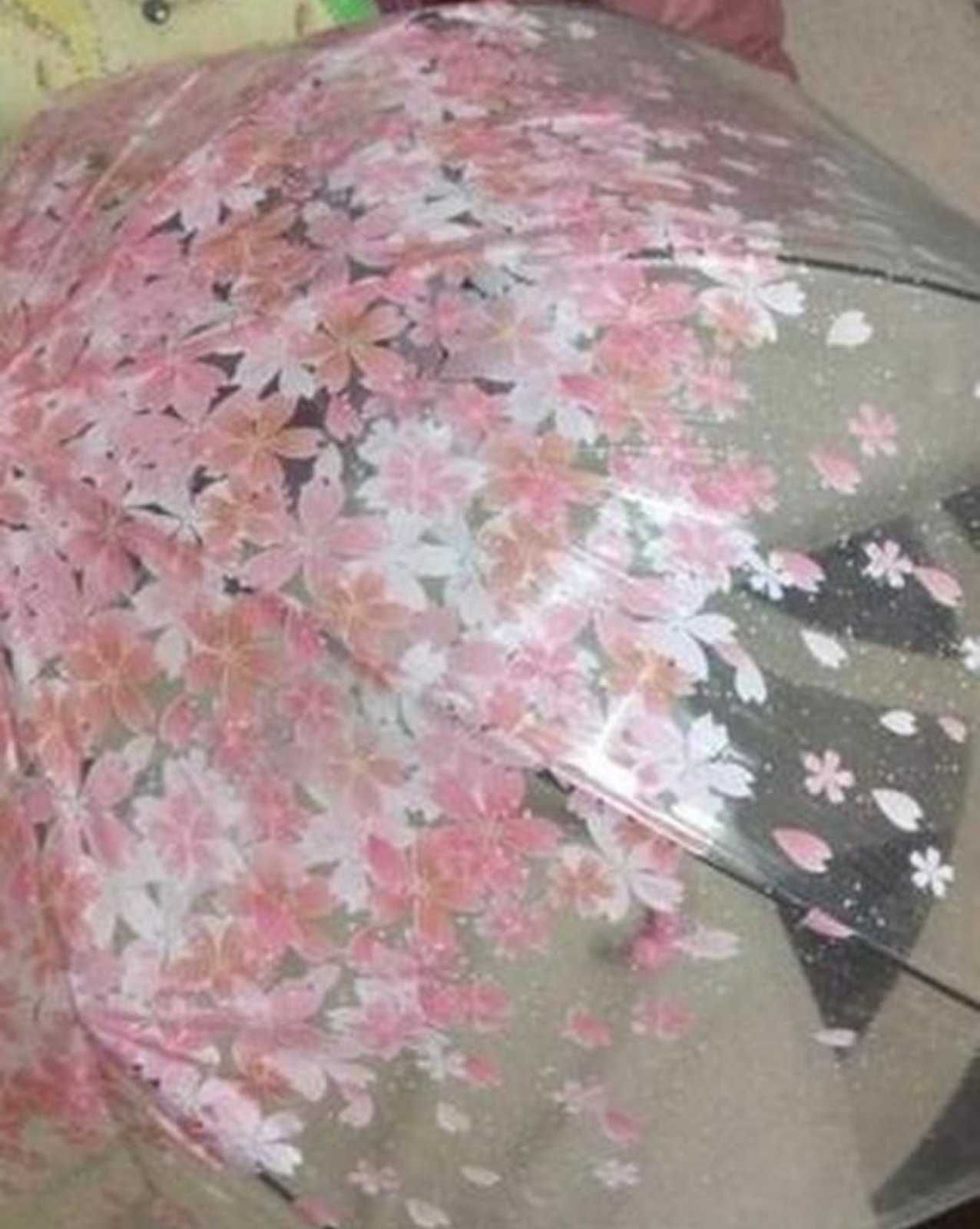 Зонт прозрачный "Сакура" в розовом и синем цветах.